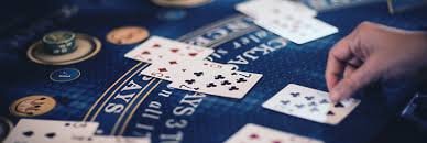 813bet55